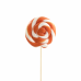 Barattolo Tondo Arancione 25gr, 50 Pezzi