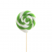 Barattolo Tondo Verde 25gr, 50 Pezzi